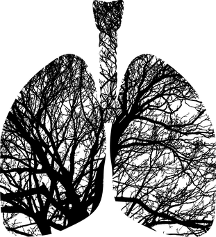 Cancer du poumon : google créé une intelligence artificielle capable de le détecter